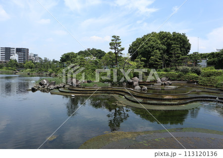品川区民公園 113120136
