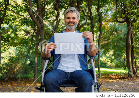 Accessible Park Accessible Park 113120250