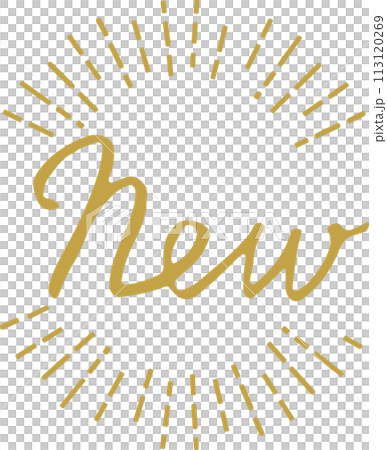 NEW 手繪字母英文草書 113120269