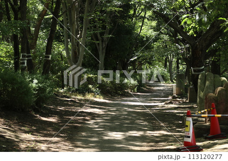 大田区　平和の森公園 113120277