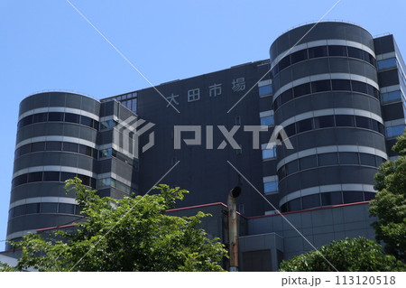 大田市場 大田市場 113120518