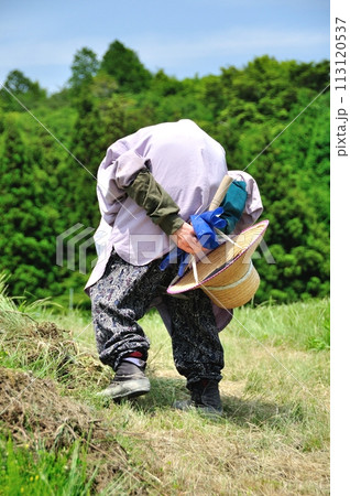 高齢化社会 113120537