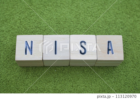 緑の絨毯に置かれたNISAの文字ブロック 緑の絨毯に置かれたNISAの文字ブロック 113120970