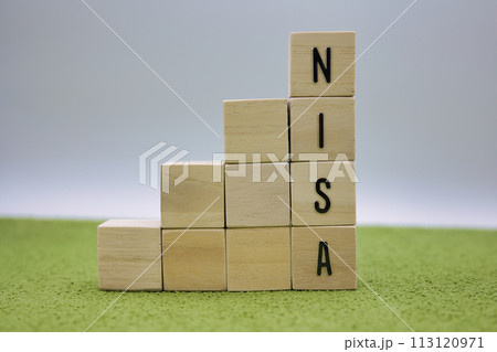 緑の絨毯に置かれたNISAの文字ブロック 緑の絨毯に置かれたNISAの文字ブロック 113120971