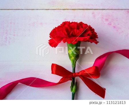 赤いカーネーションの花 113121813