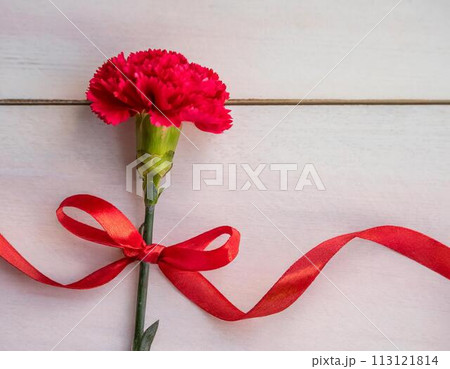 赤いカーネーション 113121814