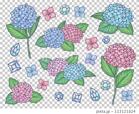帶有水彩風線的繡球花和珠寶插圖集 帶有水彩風線的繡球花和珠寶插圖集 113121824