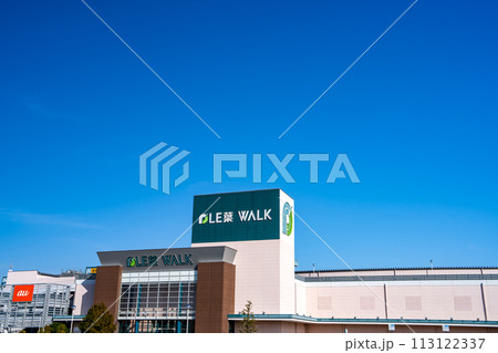 晴れた日のプレ葉ウォークを眺める風景(静岡県) 113122337