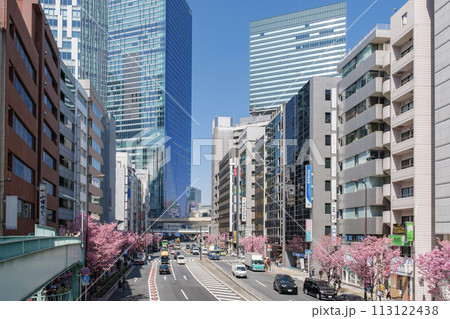 渋谷駅周辺　明治通り沿いの高層ビル群と満開の桜　東京都渋谷区 113122438