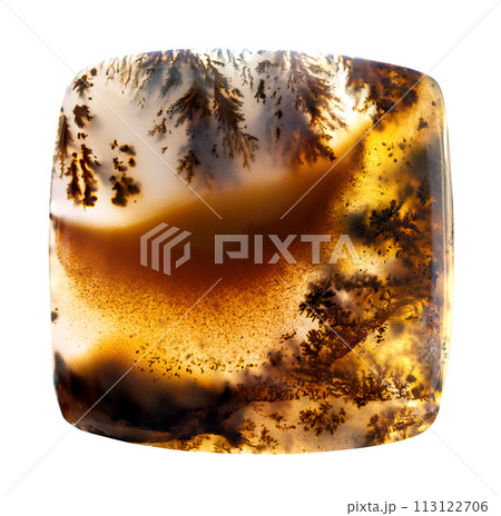 square cabochon from polished brown moss agate square cabochon from polished brown moss agate 113122706