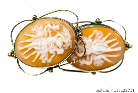 antique earrings with cameo carved on see shells 113122711
