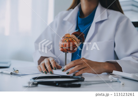 Doctor explaining heart to elderly patient. Doctor explaining the heart model. Doctors pen point to a model of the heart 113123261