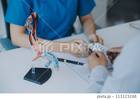Doctor uses anatomical model to explain male urinary system. Model labeled with parts, doctor points and explains how they work together for urinary function, ensuring patient comprehension. 113123288