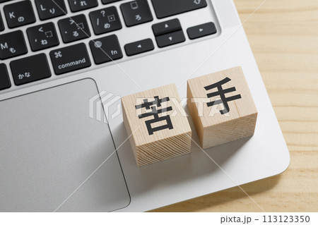 パソコンの上に苦手と書かれた積み木 113123350
