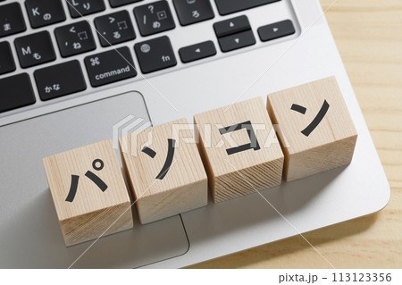 パソコンの上にパソコンと書かれた積み木 113123356