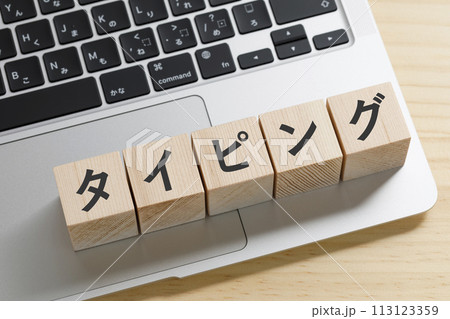 パソコンの上にタイピングと書かれた積み木 パソコンの上にタイピングと書かれた積み木 113123359