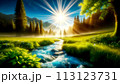 朝日が森を照らす風景画 113123731