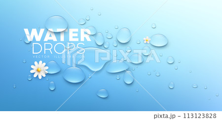 Water drops clear and white flower realistic banner design Water drops clear and white flower realistic banner design 113123828