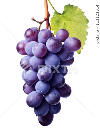 a bunch of purple grapes on a white background, 113123914
