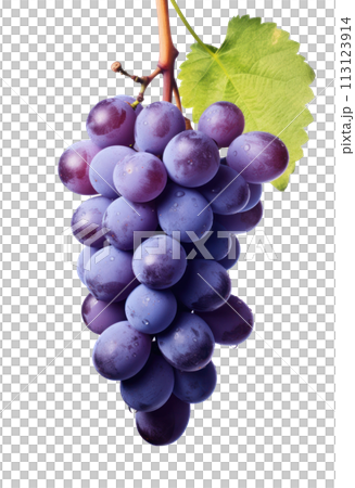 a bunch of purple grapes on a white background, 113123914