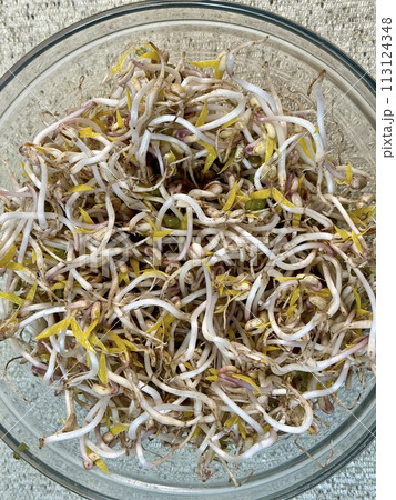 Micro-greenery. Sprouted mung beans, green mung beans in a glass bowl on the table. Juicy seedlings. Healthy food for vegans. Close-up. Micro-greenery. Sprouted mung beans, green mung beans in a glass bowl on the table. Juicy seedlings. Healthy food for vegans. Close-up. 113124348