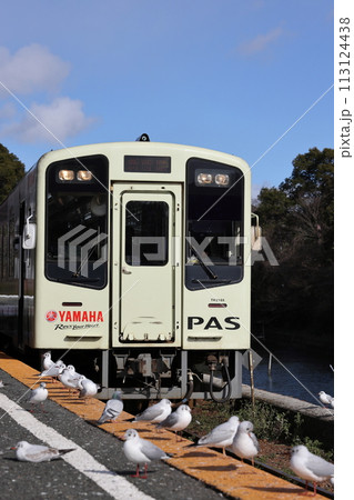 ユリカモメが飛来する駅　天竜浜名湖鉄道　浜名湖佐久米駅 113124438