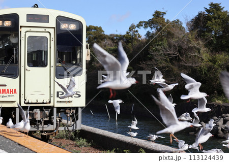 ユリカモメが飛来する駅　天竜浜名湖鉄道　浜名湖佐久米駅 113124439