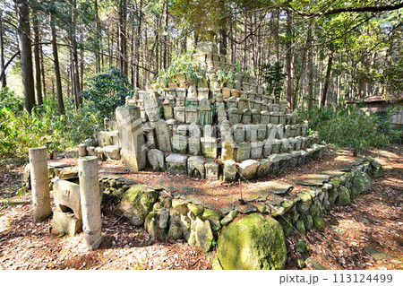 近江「安土城」東門曲輪の様子 松源院弘法大師堂 近江「安土城」東門曲輪の様子 松源院弘法大師堂 113124499