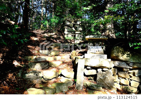 近江「安土城」東門曲輪の様子 松源院弘法大師堂 近江「安土城」東門曲輪の様子 松源院弘法大師堂 113124515