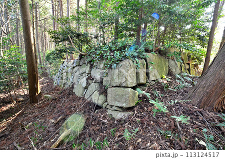 近江「安土城」東門曲輪の様子 松源院弘法大師堂 近江「安土城」東門曲輪の様子 松源院弘法大師堂 113124517