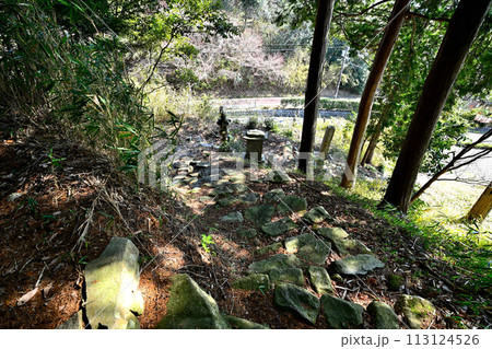 近江「安土城」東門曲輪の様子 松源院弘法大師堂 近江「安土城」東門曲輪の様子 松源院弘法大師堂 113124526