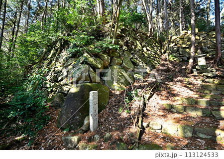近江「安土城」東門曲輪の様子 松源院弘法大師堂 近江「安土城」東門曲輪の様子 松源院弘法大師堂 113124533