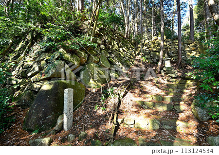 近江「安土城」東門曲輪の様子 松源院弘法大師堂 近江「安土城」東門曲輪の様子 松源院弘法大師堂 113124534