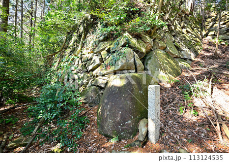 近江「安土城」東門曲輪の様子 松源院弘法大師堂 近江「安土城」東門曲輪の様子 松源院弘法大師堂 113124535