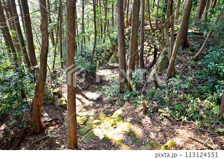 近江「安土城」東門曲輪の様子 松源院弘法大師堂 近江「安土城」東門曲輪の様子 松源院弘法大師堂 113124551
