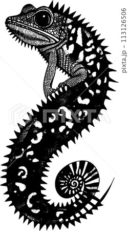 simple black outline drawing chameleon, isolated element, design simple black outline drawing chameleon, isolated element, design 113126506