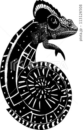 simple black outline drawing chameleon, isolated element, design 113126508