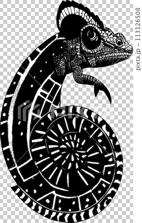 simple black outline drawing chameleon, isolated element, design 113126508