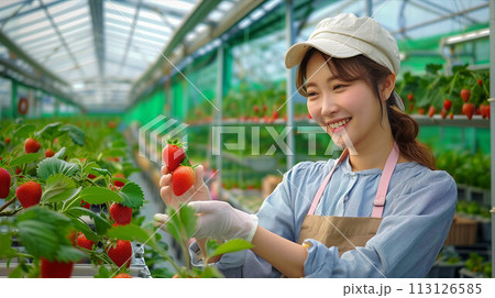 Asian woman picking strawberries in a greenhouse. 113126585
