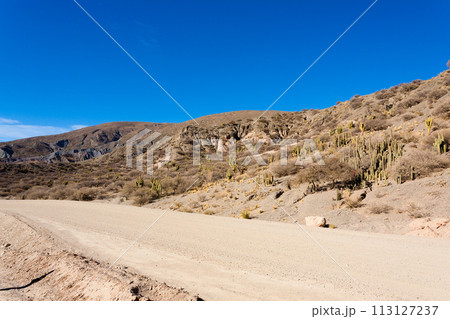 Bolivian dirt road view,Bolivia 113127237