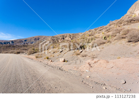 Bolivian dirt road view,Bolivia Bolivian dirt road view,Bolivia 113127238