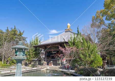 【第1番札所】霊山寺 大師堂【四国八十八箇所】 【第1番札所】霊山寺 大師堂【四国八十八箇所】 113127239