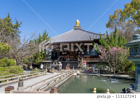 【第1番札所】霊山寺 大師堂【四国八十八箇所】 【第1番札所】霊山寺 大師堂【四国八十八箇所】 113127241