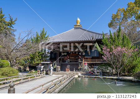 【第1番札所】霊山寺 大師堂【四国八十八箇所】 【第1番札所】霊山寺 大師堂【四国八十八箇所】 113127243