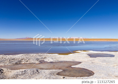 Bolivian lagoon view,Bolivia 113127265