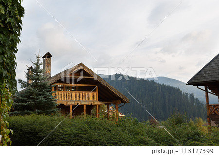 Vintage wooden houses in tourist centre resort with birch trees, autumn grasses and plants around. Alpain scenic of country log house in fir tree forest 113127399
