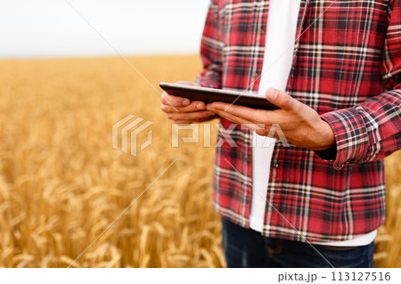 Smart farming using modern technologies in agriculture. Man agronomist farmer with digital tablet computer in wheat field using apps and internet, selective focus 113127516