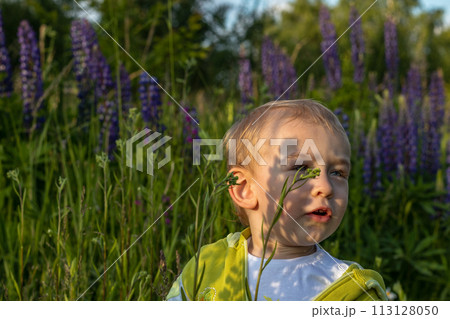 mother and child son are walking in a field of flowers mother and child son are walking in a field of flowers 113128050