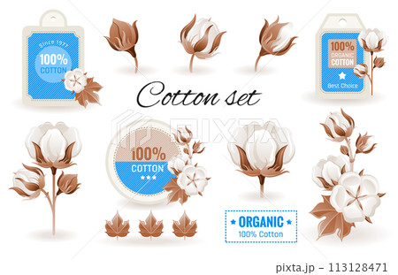 Eco Cotton label design flower set. 100 bio organic cotton tag icon. Bud, leaf element. 3d realistic sticker. Textile production fashion logo. Cartoon vector illustration isolated white background Eco Cotton label design flower set. 100 bio organic cotton tag icon. Bud, leaf element. 3d realistic sticker. Textile production fashion logo. Cartoon vector illustration isolated white background 113128471