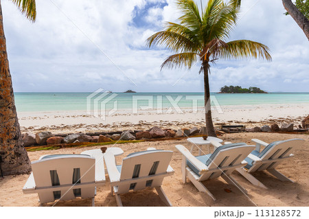 Seaside view with vacant white chaise lounges under coconut palm trees 113128572
